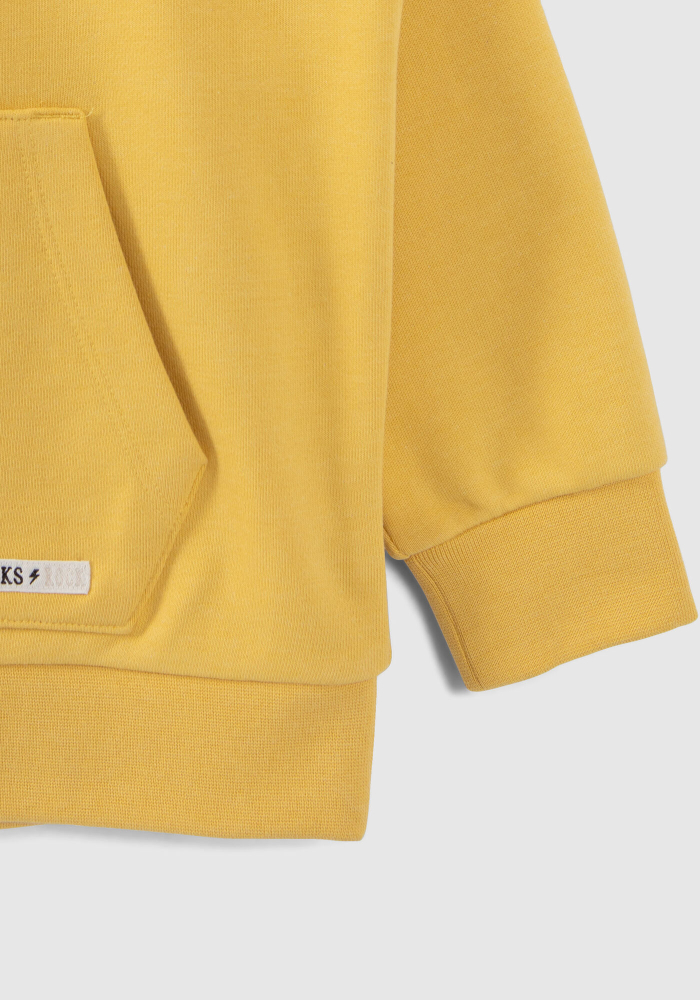 detail Hoodie with velvet slogan