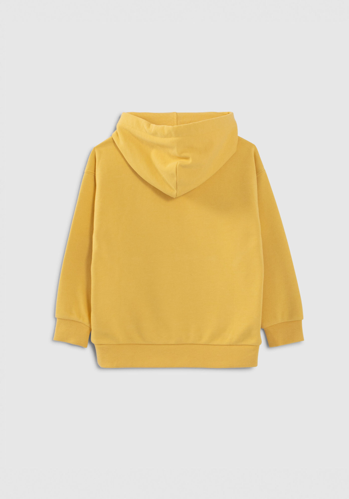 detail Hoodie with velvet slogan
