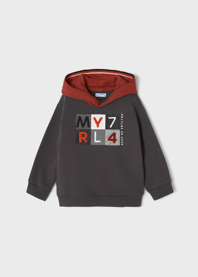 detail Sweatshirt with embroidery for a boy