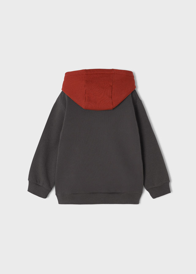 detail Sweatshirt with embroidery for a boy