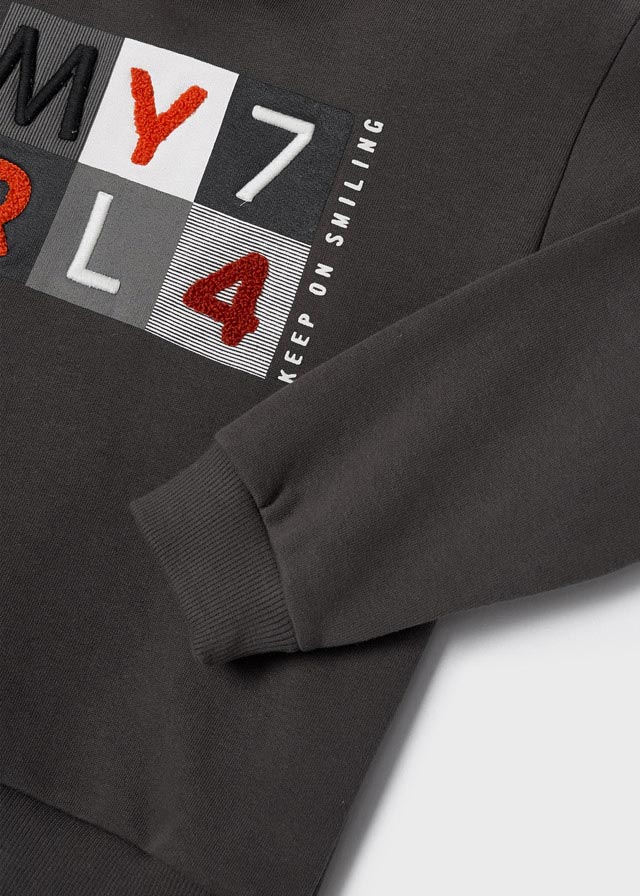 detail Sweatshirt with embroidery for a boy