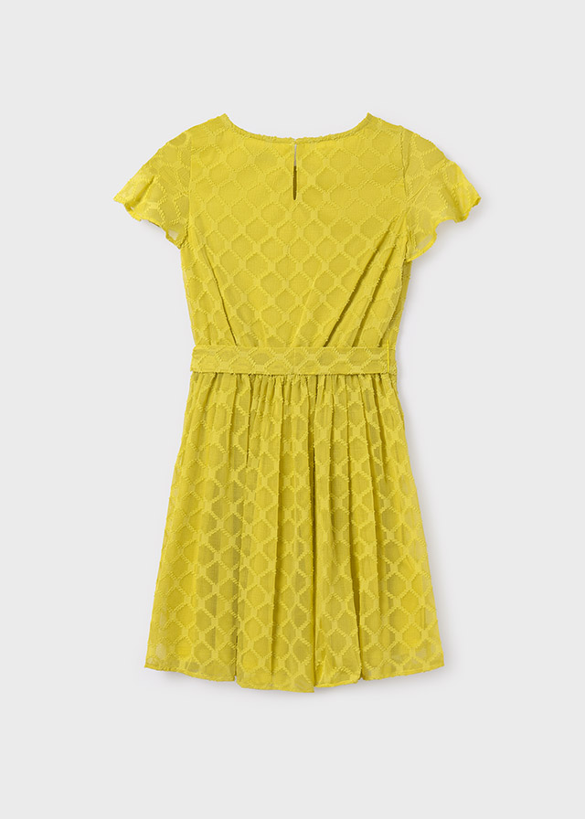 detail Girls' chiffon dress